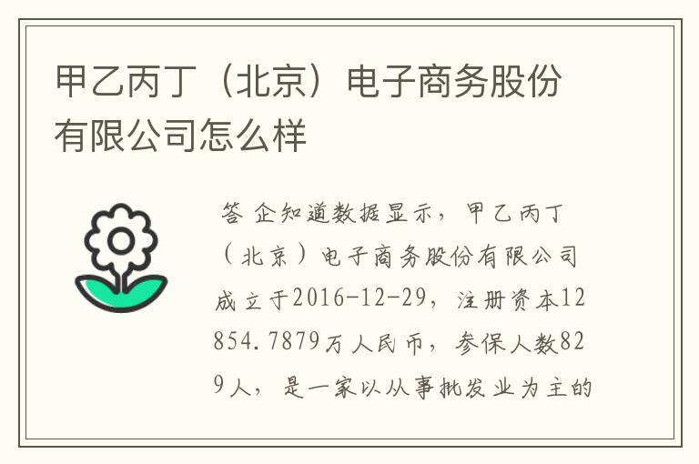甲乙丙丁(北京)电子商务股份有限公司怎么样