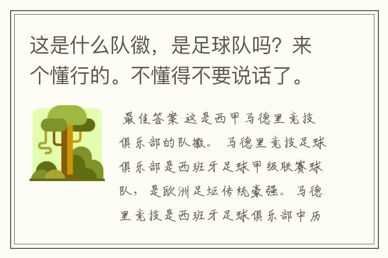 这是什么队徽,是足球队吗?来个懂行的。不懂得不要说话了。