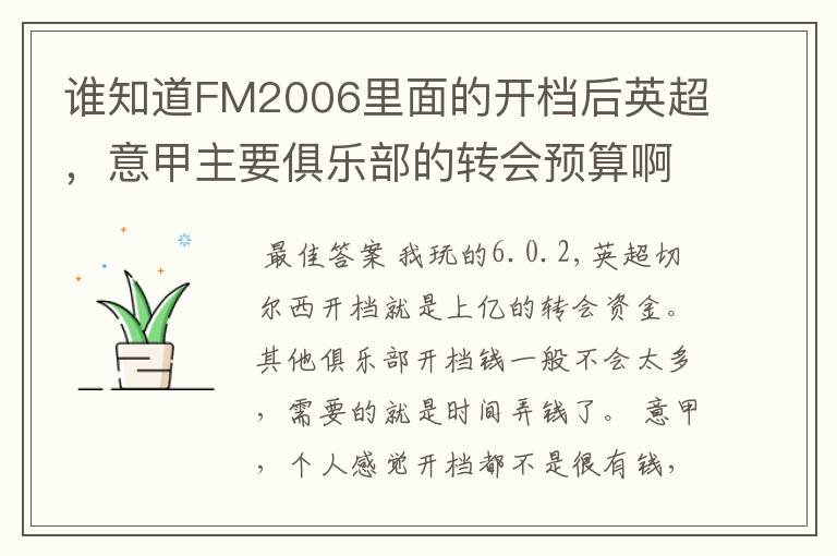 谁知道FM2006里面的开档后英超,意甲主要俱乐部的转会预算啊?