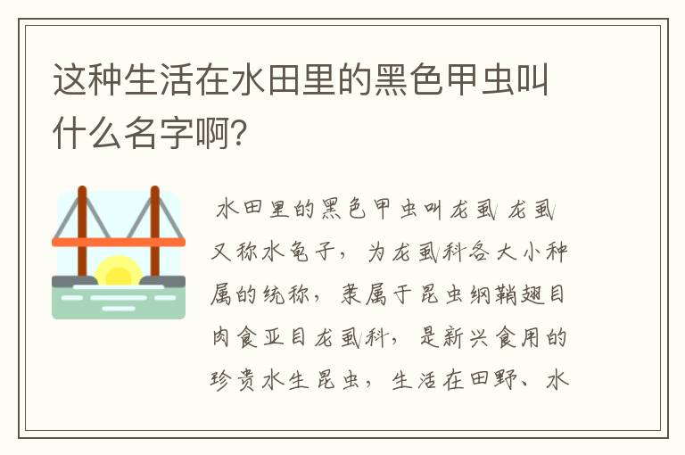 这种生活在水田里的黑色甲虫叫什么名字啊?
