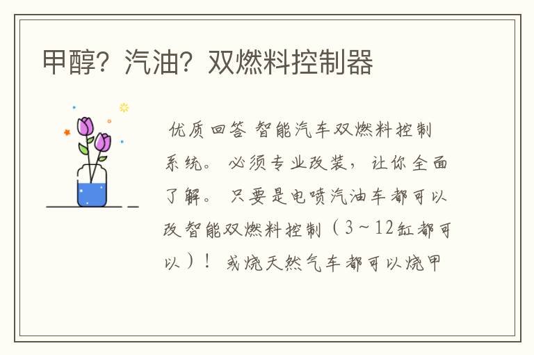 甲醇?汽油?双燃料控制器