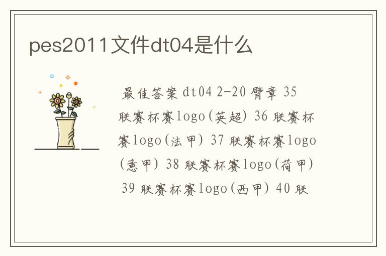 pes2011文件dt04是什么