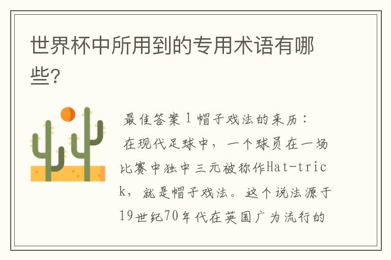 世界杯中所用到的专用术语有哪些?