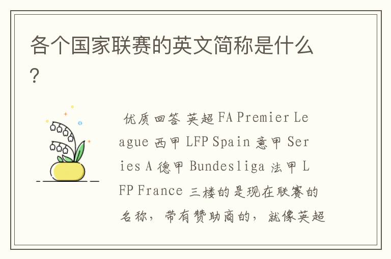 各个国家联赛的英文简称是什么?