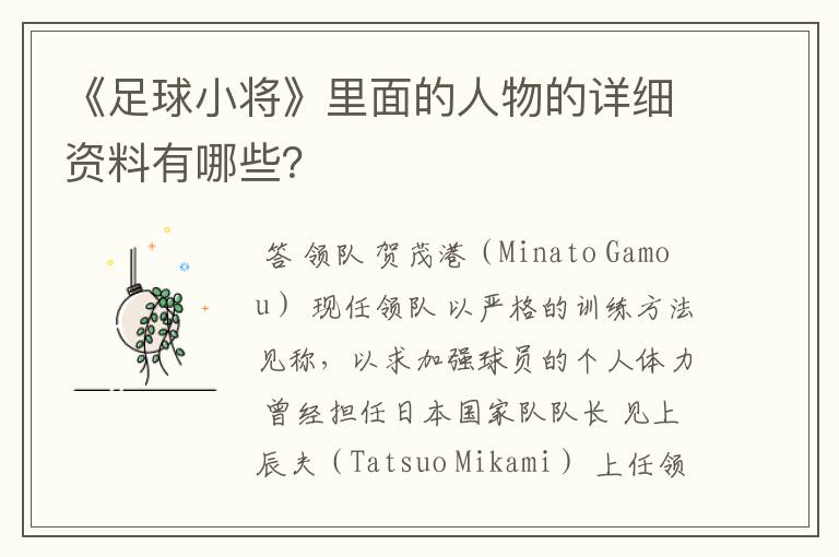 《足球小将》里面的人物的详细资料有哪些?