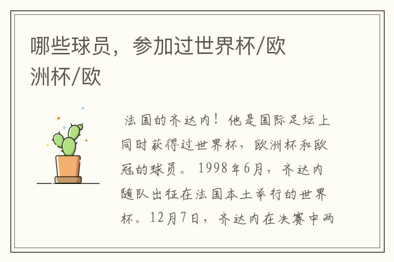 哪些球员,参加过世界杯/欧洲杯/欧