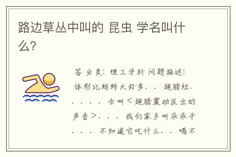 路边草丛中叫的 昆虫 学名叫什么?