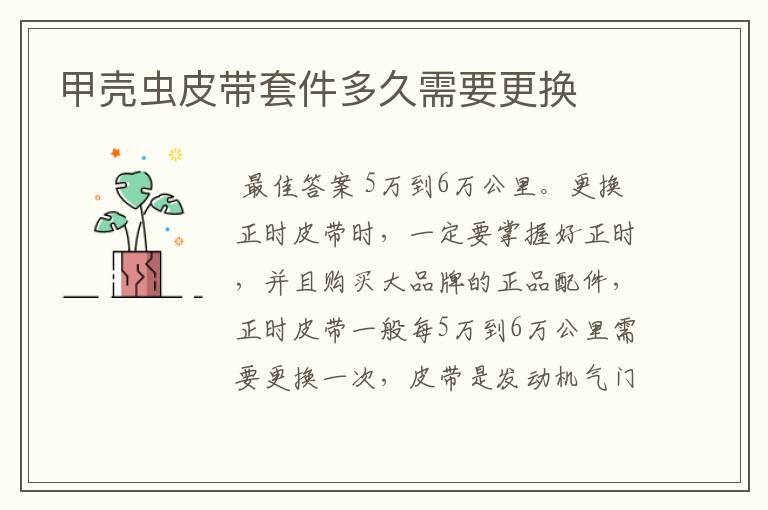 甲壳虫皮带套件多久需要更换
