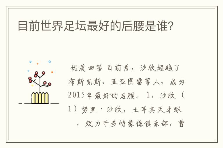 目前世界足坛最好的后腰是谁?