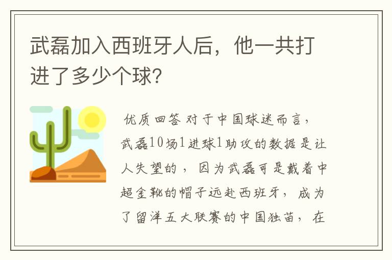 武磊加入西班牙人后,他一共打进了多少个球?