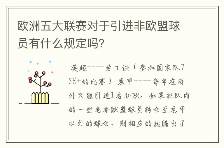 欧洲五大联赛对于引进非欧盟球员有什么规定吗?