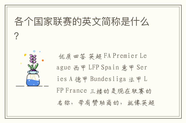 各个国家联赛的英文简称是什么?