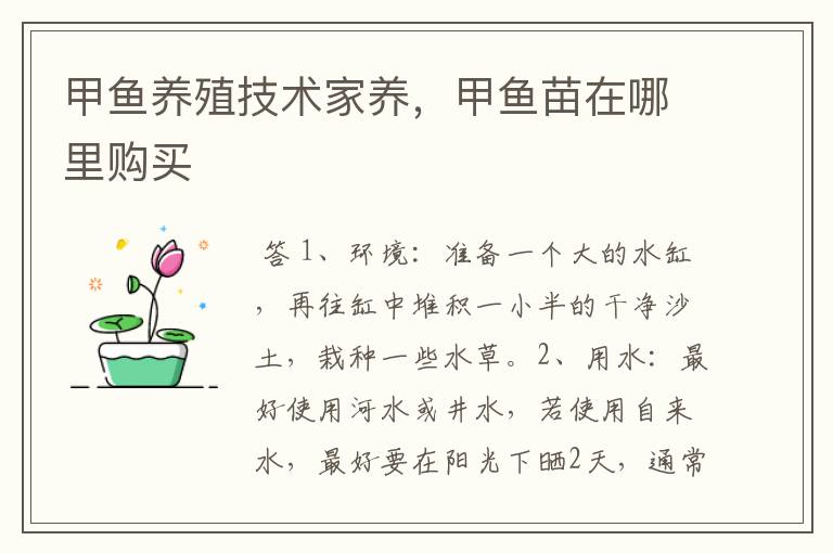 甲鱼养殖技术家养,甲鱼苗在哪里购买