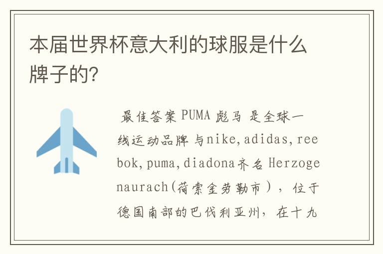 本届世界杯意大利的球服是什么牌子的?