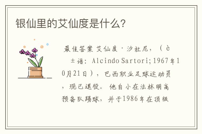 银仙里的艾仙度是什么?
