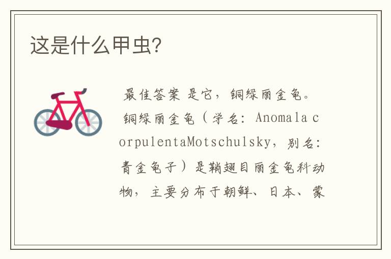 这是什么甲虫?