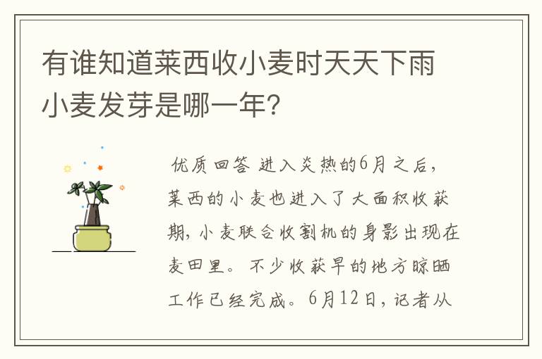 有谁知道莱西收小麦时天天下雨小麦发芽是哪一年?