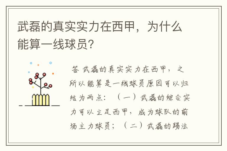 武磊的真实实力在西甲,为什么能算一线球员?