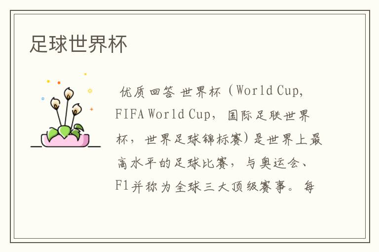 足球世界杯