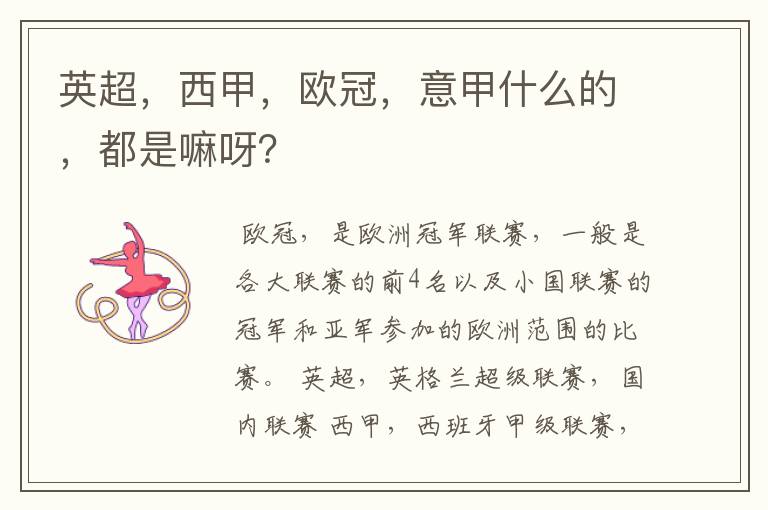 英超,西甲,欧冠,意甲什么的,都是嘛呀?