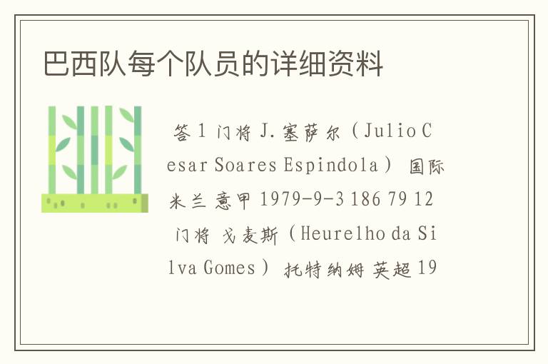 巴西队每个队员的详细资料
