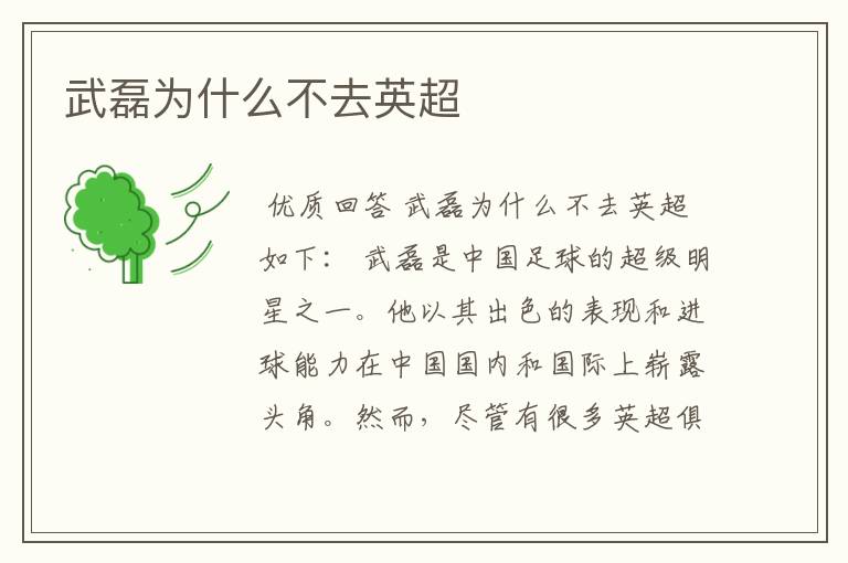 武磊为什么不去英超