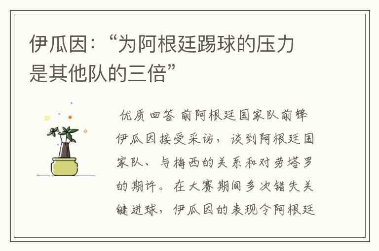 伊瓜因:“为阿根廷踢球的压力是其他队的三倍”