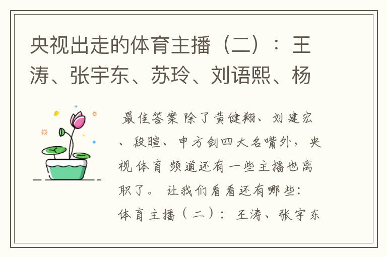 央视出走的体育主播(二):王涛、张宇东、苏玲、刘语熙、杨茗茗-