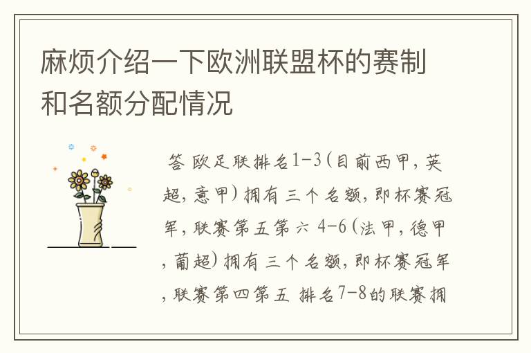 麻烦介绍一下欧洲联盟杯的赛制和名额分配情况
