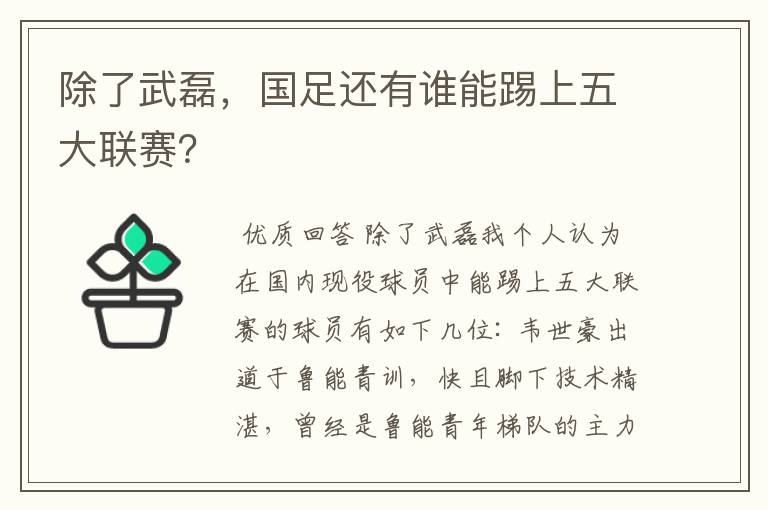 除了武磊，国足还有谁能踢上五大联赛？