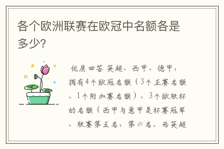各个欧洲联赛在欧冠中名额各是多少?