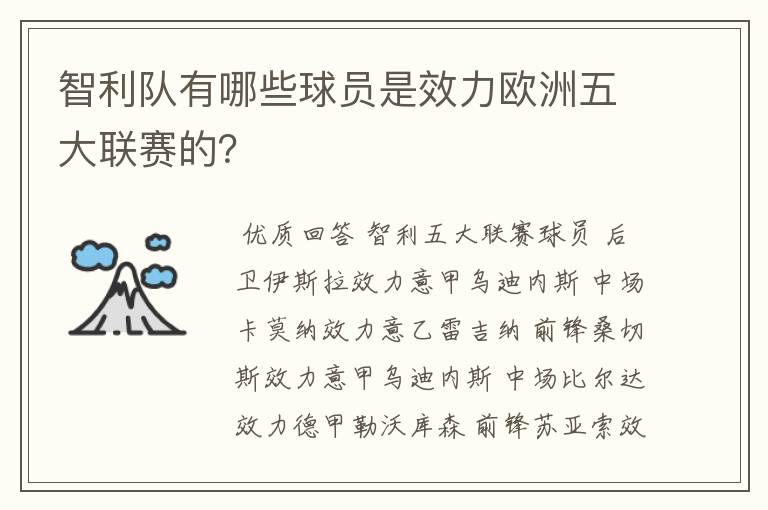 智利队有哪些球员是效力欧洲五大联赛的?