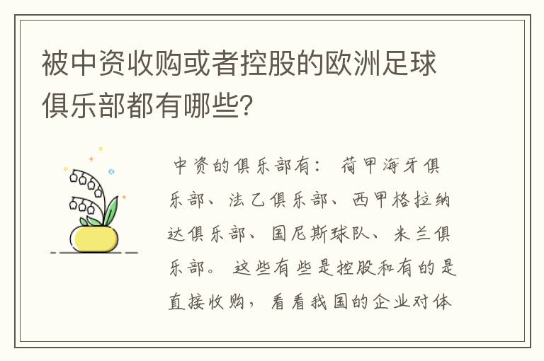 被中资收购或者控股的欧洲足球俱乐部都有哪些?
