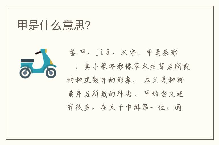 甲是什么意思?