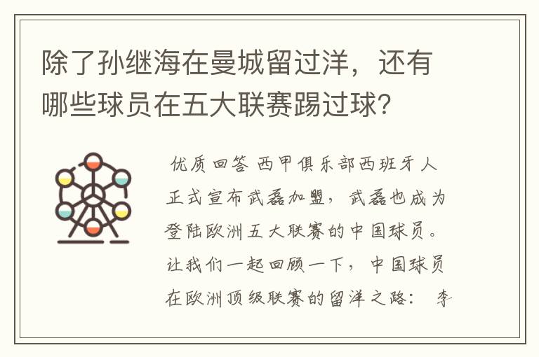 除了孙继海在曼城留过洋,还有哪些球员在五大联赛踢过球?