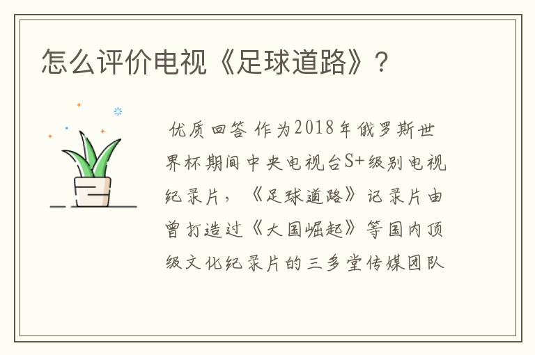 怎么评价电视《足球道路》?