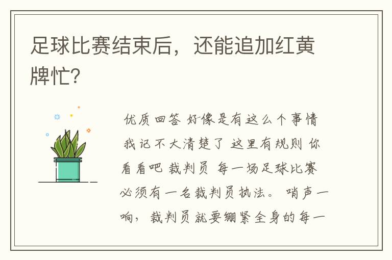 足球比赛结束后,还能追加红黄牌忙?