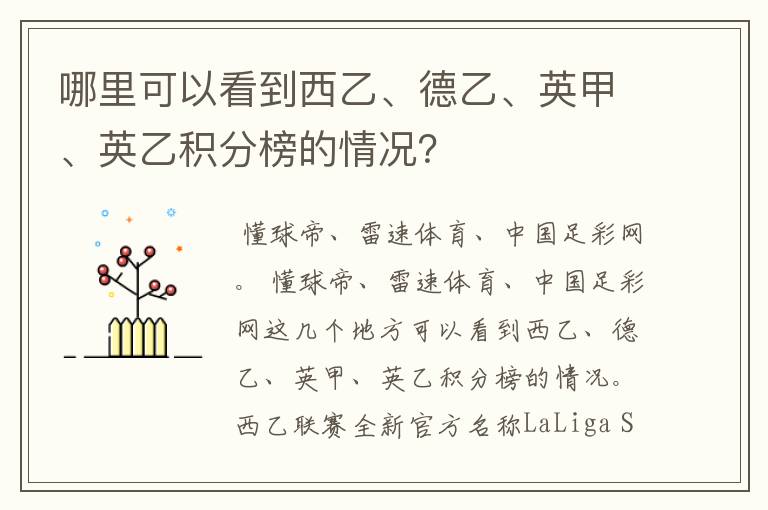哪里可以看到西乙、德乙、英甲、英乙积分榜的情况?