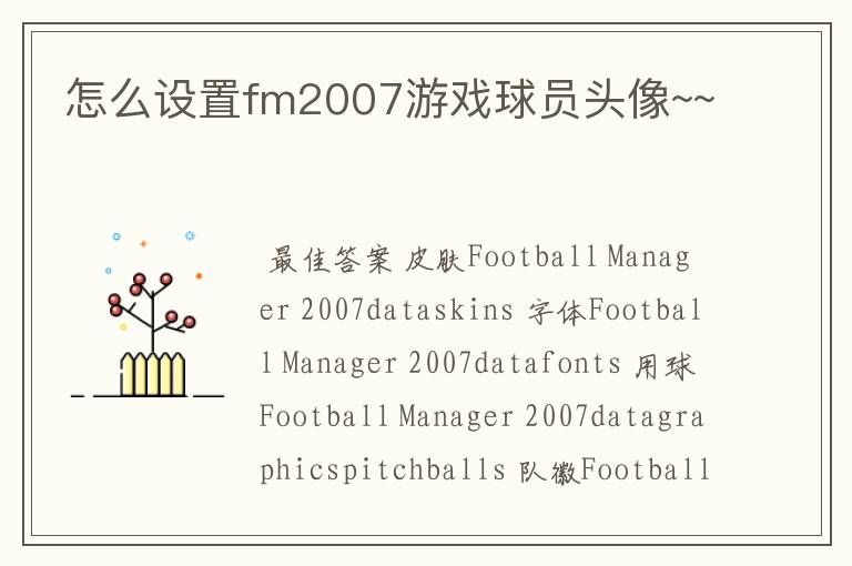 怎么设置fm2007游戏球员头像~~