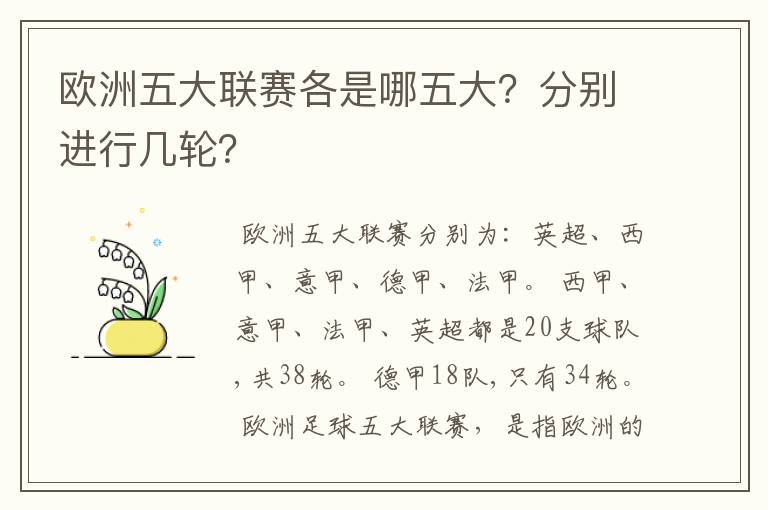 欧洲五大联赛各是哪五大?分别进行几轮?