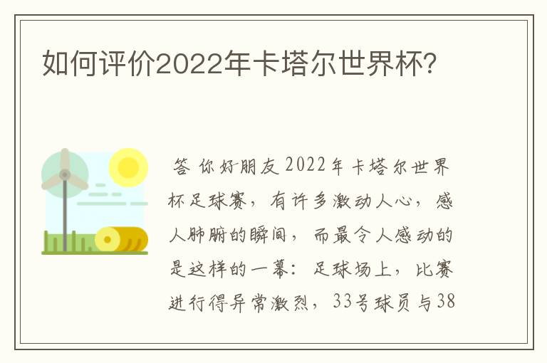 如何评价2022年卡塔尔世界杯?