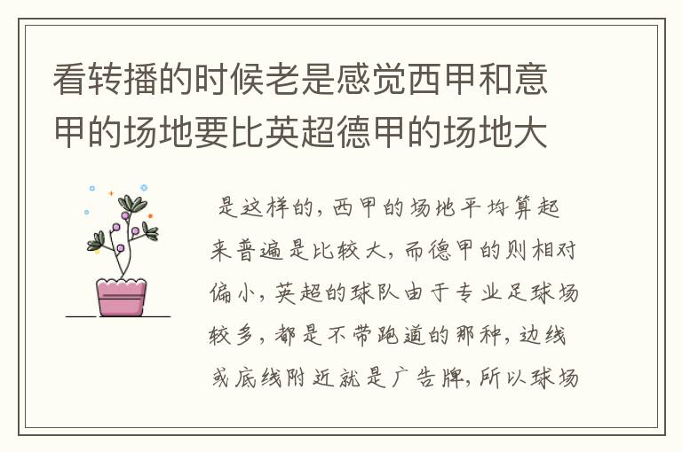看转播的时候老是感觉西甲和意甲的场地要比英超德甲的场地大很多,