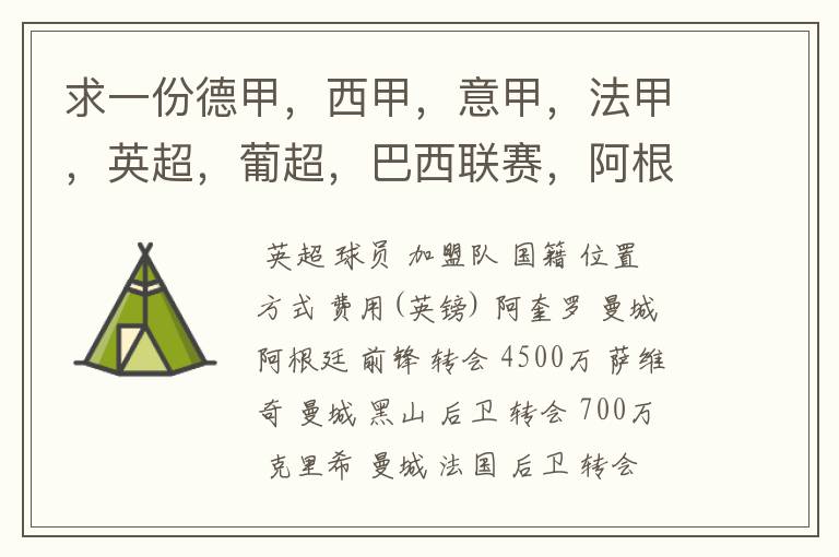 求一份德甲,西甲,意甲,法甲,英超,葡超,巴西联赛,阿根廷联赛2011年夏季转会名单