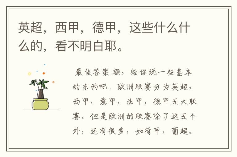 英超,西甲,德甲,这些什么什么的,看不明白耶。