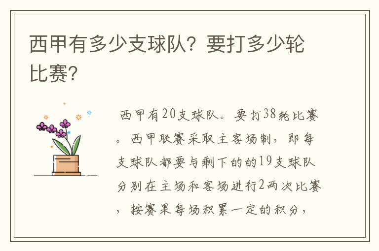 西甲有多少支球队?要打多少轮比赛?