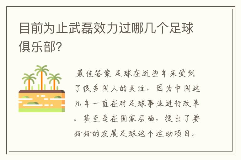 目前为止武磊效力过哪几个足球俱乐部?