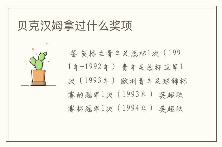 贝克汉姆拿过什么奖项