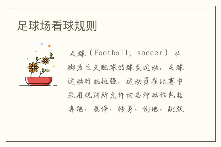 足球场看球规则