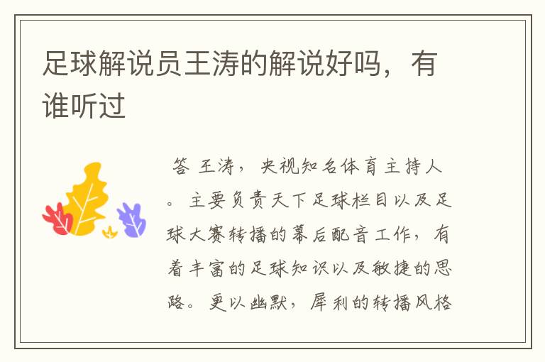 足球解说员王涛的解说好吗,有谁听过