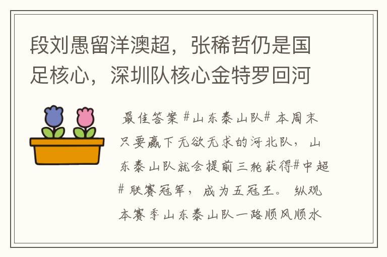 段刘愚留洋澳超,张稀哲仍是国足核心,深圳队核心金特罗回河床